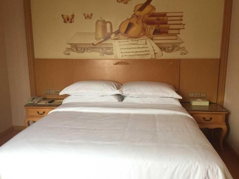 Vienna Hotels Jinyue Branch