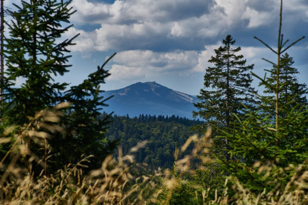 Las mejores ofertas de Ferienhotel Hubertus Deggendorf