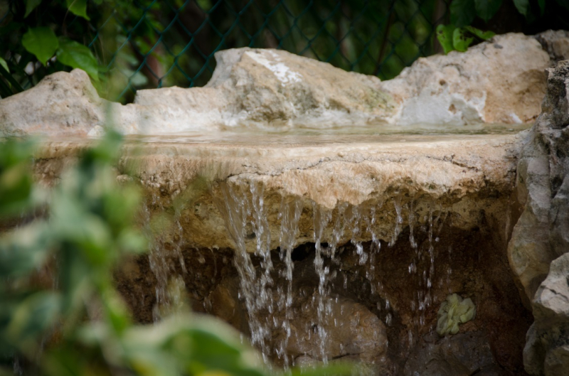 Las mejores ofertas de Green Oasis Home Boutique Playa Del Carmen