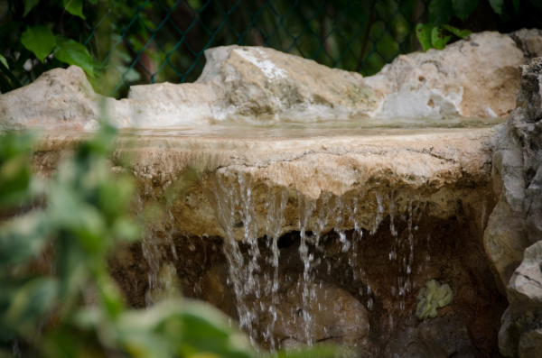 Las mejores ofertas de Green Oasis Home Boutique Playa Del Carmen