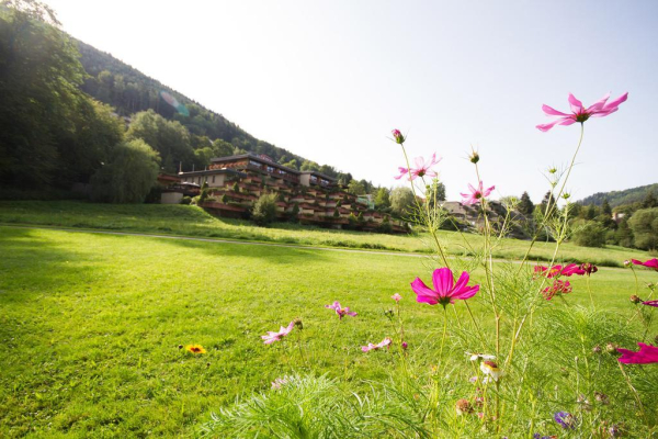 Las mejores ofertas de Hotel Valsana am Kurpark Pforzheim