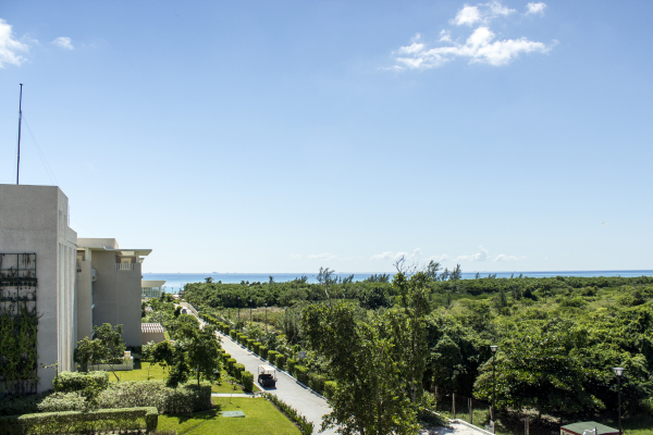 Las mejores ofertas de Sol Playa Playa Del Carmen