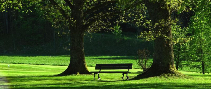 Hotel Am Rosengarten