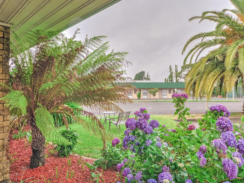 Mount Gambier International