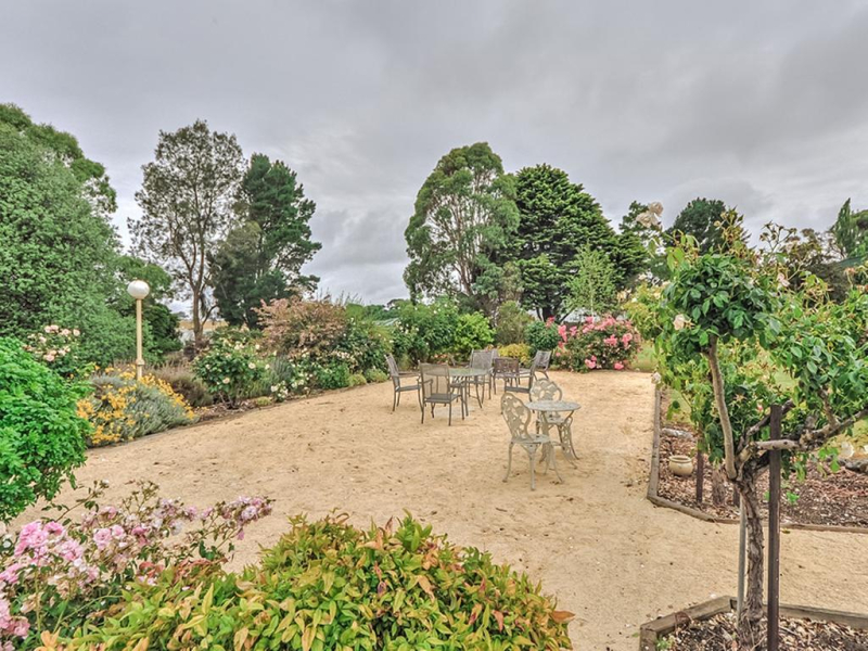 Mount Gambier International