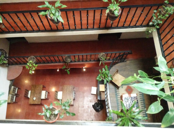 Las mejores ofertas de Emilia Taxco 