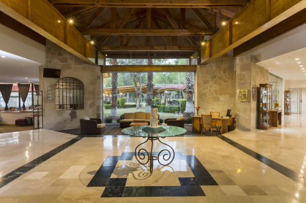 Las mejores ofertas de Gamma Pachuca Pachuca