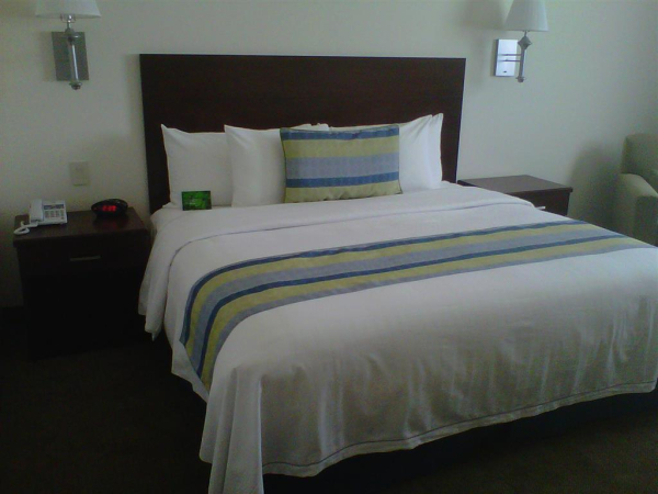 Las mejores ofertas de Aeropuerto los Cabos Los Cabos 