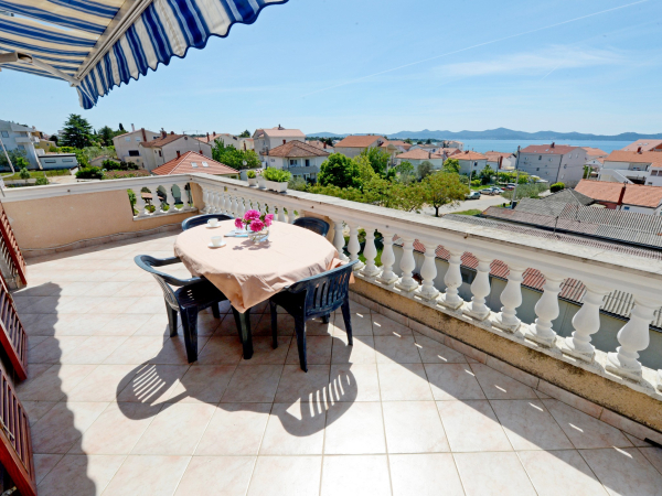 Las mejores ofertas de Andjelko Zadar 