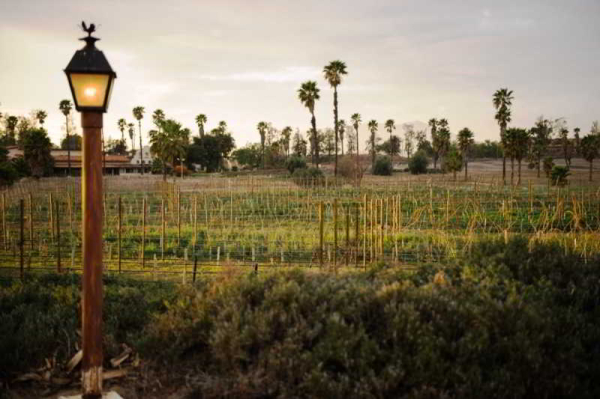 Las mejores ofertas de Rancho Tecate Resorts Tijuana