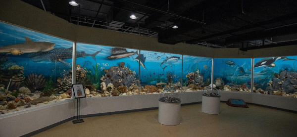 Las mejores ofertas de Yongpyong Resort Pyeongchang