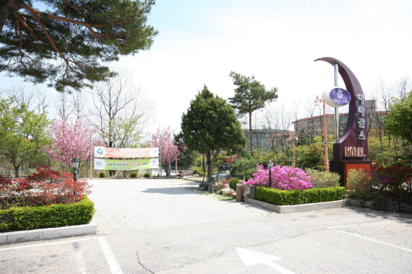Las mejores ofertas de Goodstay Hotel Amaranth Sokcho