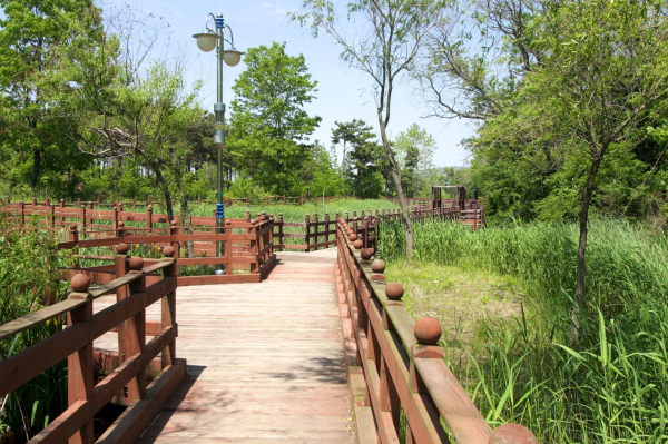 Las mejores ofertas de The Hotel Yeongjong Incheon Airport Incheon