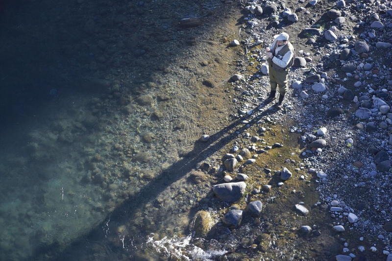 Las mejores ofertas de River Birches Taupo