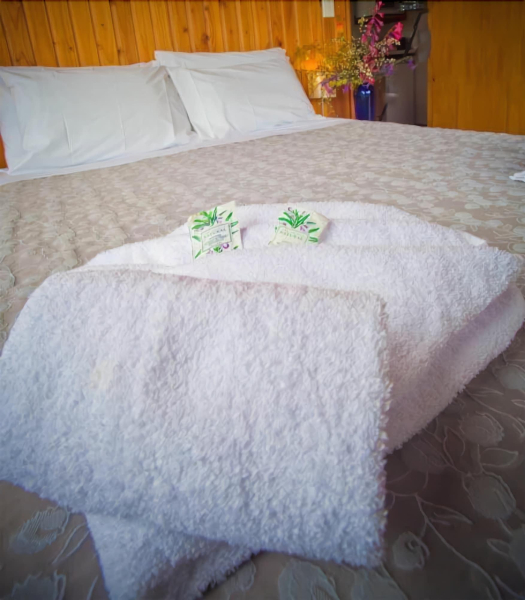 Las mejores ofertas de Mapua Chalets Nelson