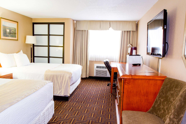 Las mejores ofertas de Wyndham Garden Medicine Hat Conference Center Medicine Hat 