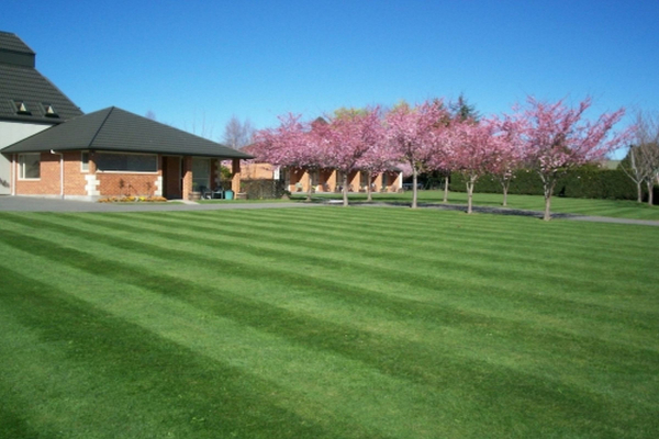 Las mejores ofertas de Chardonnay Motor Lodge Christchurch