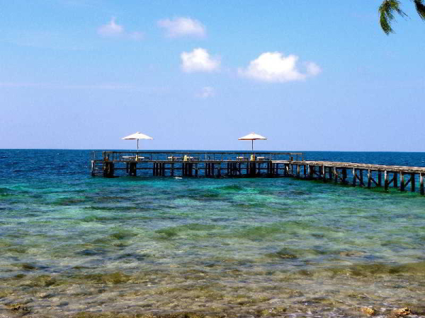 Las mejores ofertas de Kura Kura Resort Semarang 