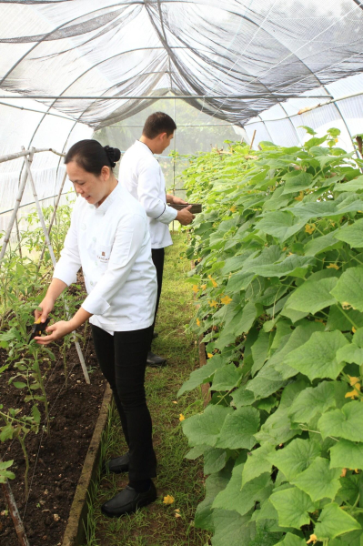 Las mejores ofertas de Kandaya Resort Cebu