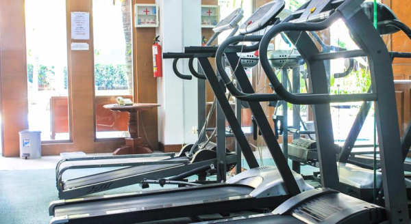 Las mejores ofertas de Salak Bogor