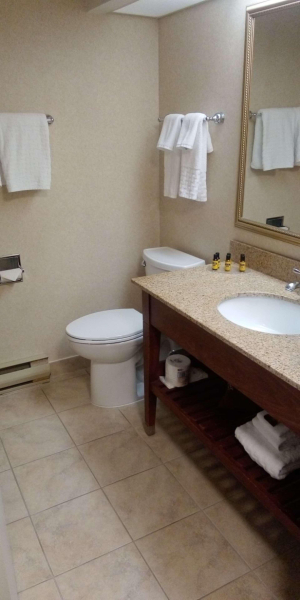 Las mejores ofertas de Best Western Plus Otonabee Inn Peterborough