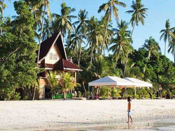 Las mejores ofertas de Alona Tropical Beach Resort Panglao 
