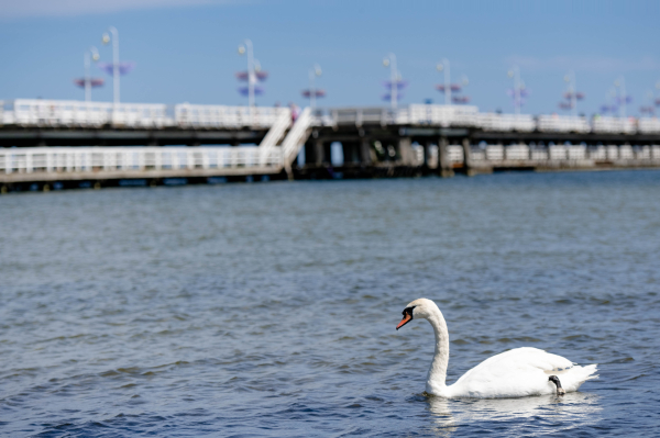 Las mejores ofertas de Villa Sedan - Destigo Hotels Sopot 