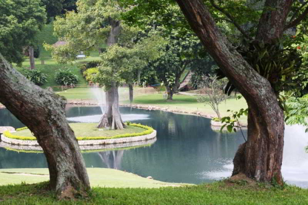 Las mejores ofertas de Club Campestre De Bucaramanga Bucaramanga 