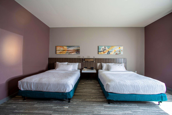 Las mejores ofertas de Hilton Garden Inn Rapid City Rapid City
