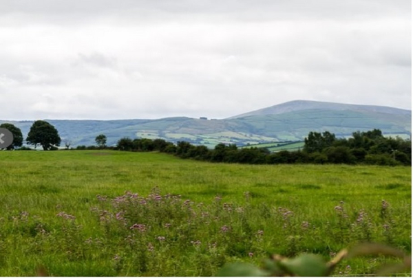 Las mejores ofertas de Abbey View B&B Tipperary