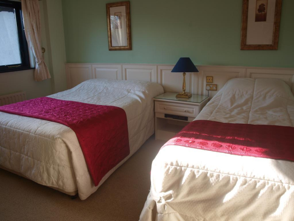Las mejores ofertas de Shelmalier House Athlone