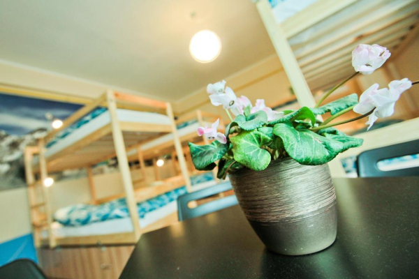 Las mejores ofertas de Poco Loco Hostel Poznan