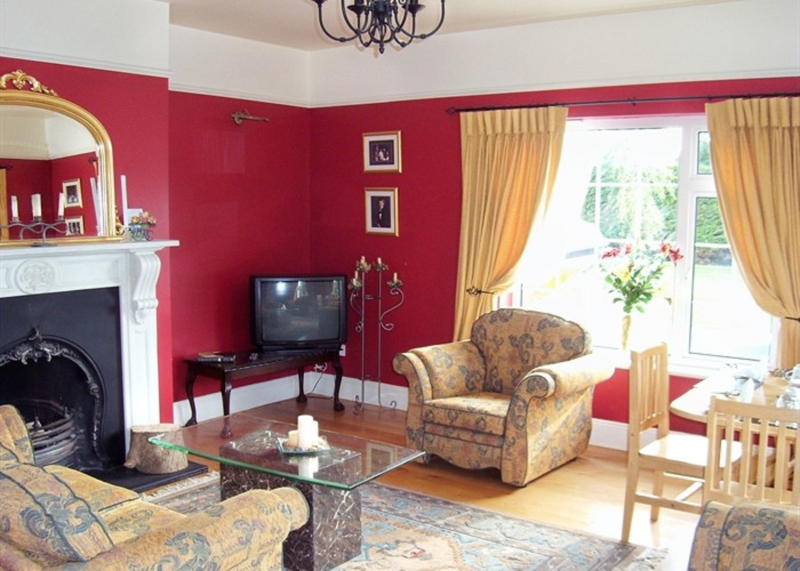 Las mejores ofertas de Ellamore Cork