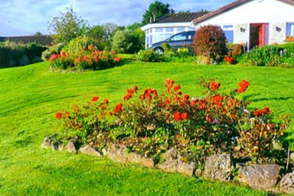 Las mejores ofertas de Winacre Lodge Galway 