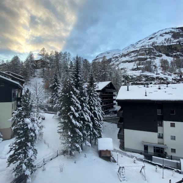 Las mejores ofertas de Adonis Zermatt