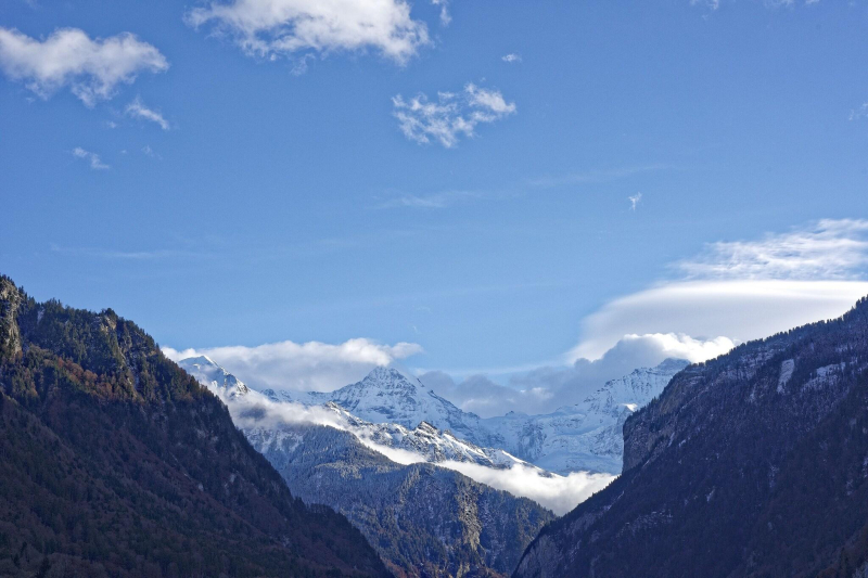 Las mejores ofertas de Baren Interlaken