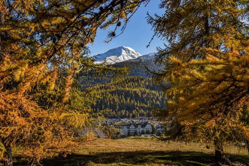 Las mejores ofertas de Cresta Palace, Celerina Sankt Moritz