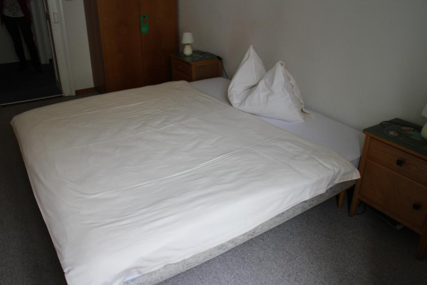 Las mejores ofertas de Rebstock Meiringen