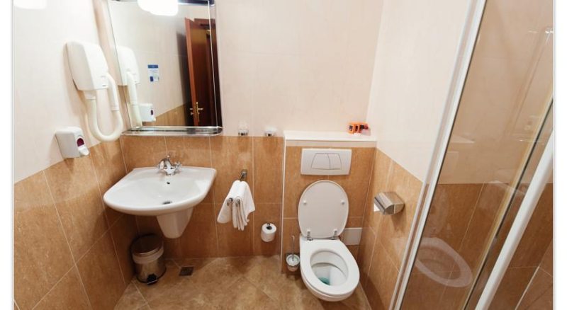 Las mejores ofertas de Hotel Coandi Arad