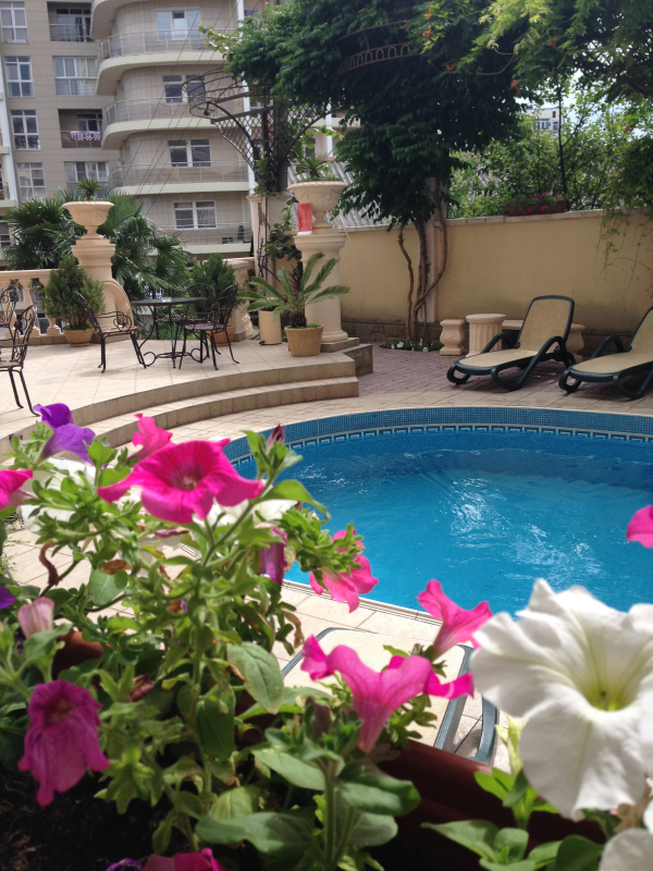 Las mejores ofertas de Nairi Sochi