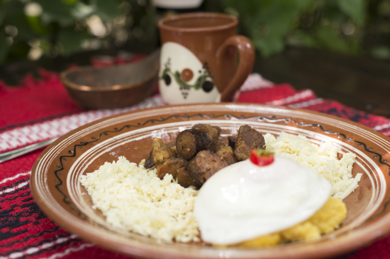 Las mejores ofertas de Bellaria Iasi 