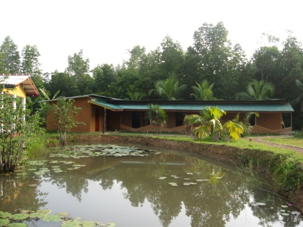 Las mejores ofertas de Mangrove Villa Bentota