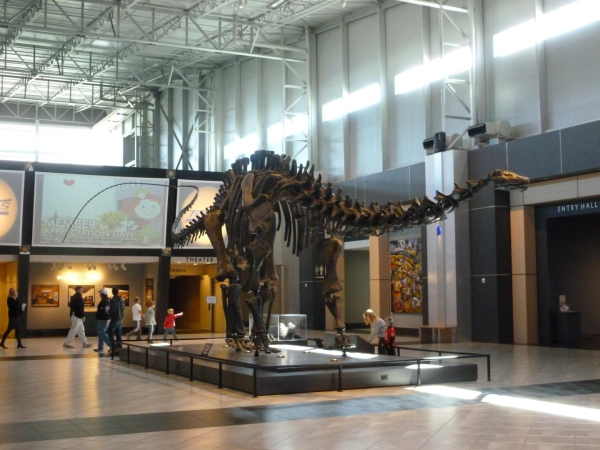 Las mejores ofertas de Best Western Allatoona Inn & Suites Cartersville