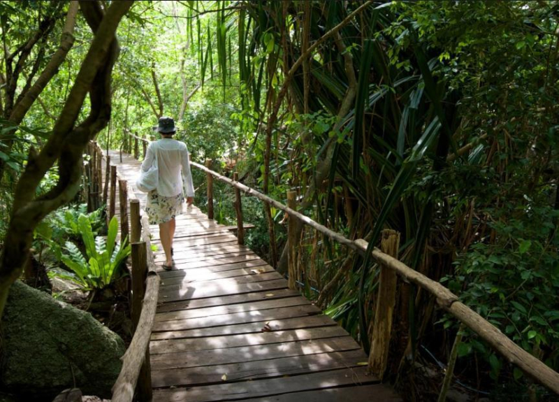 Las mejores ofertas de Tanote Villa Hill Koh Tao Surat Thani 