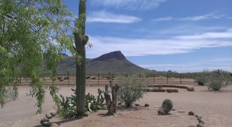 Las mejores ofertas de White Stallion Ranch Tucson