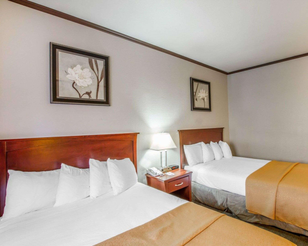 Las mejores ofertas de Quality Inn Chandler Chandler