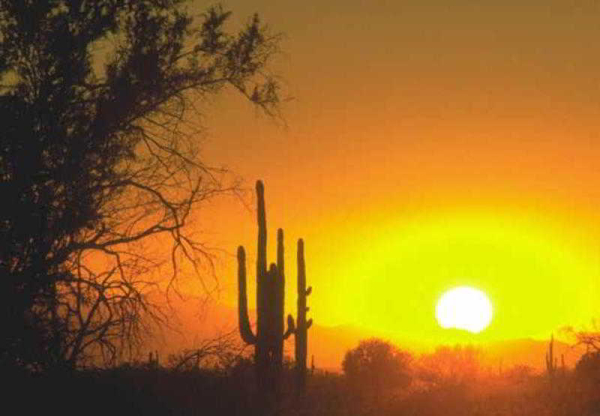 Las mejores ofertas de Residence Inn by Marriott Phoenix Glendale Sports Glendale 