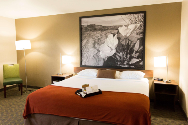 Las mejores ofertas de Super 8 By Wyndham Wickenburg Az Wickenburg 