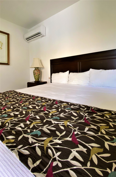 Las mejores ofertas de Maison del Embajador Mérida 