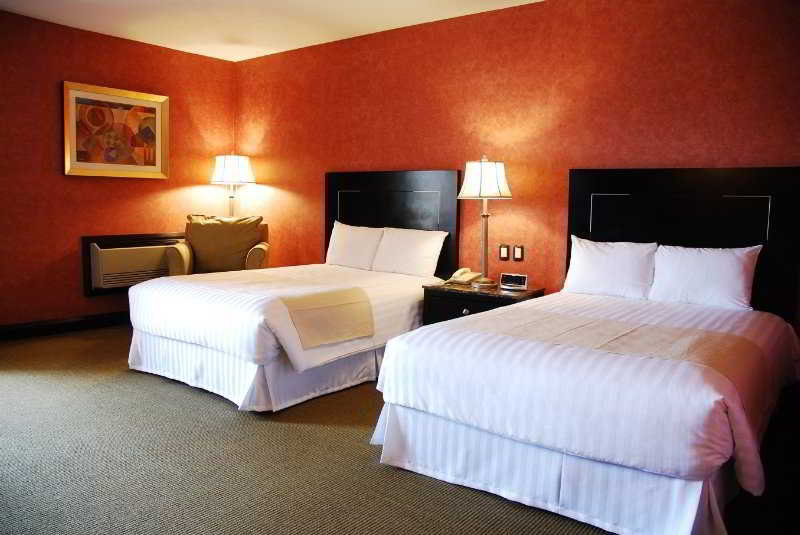 Las mejores ofertas de Royal Garden Reynosa Reynosa